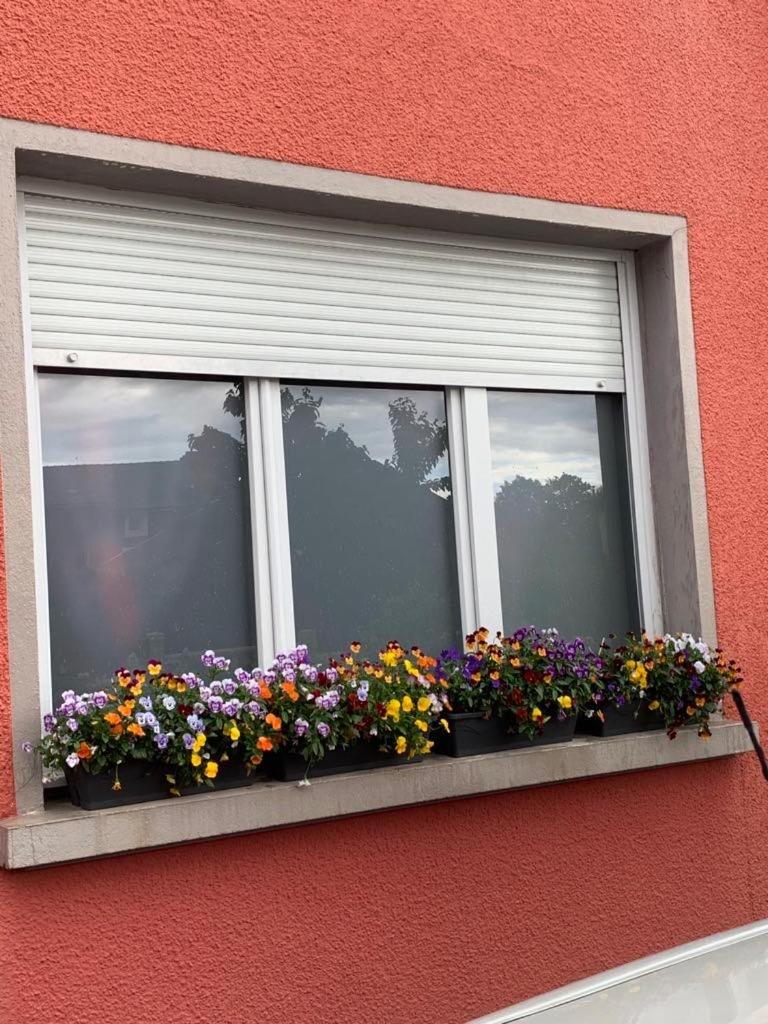 Couleur Framboise Διαμέρισμα Longwy Εξωτερικό φωτογραφία