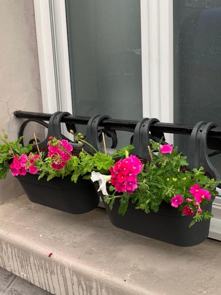 Couleur Framboise Διαμέρισμα Longwy Εξωτερικό φωτογραφία